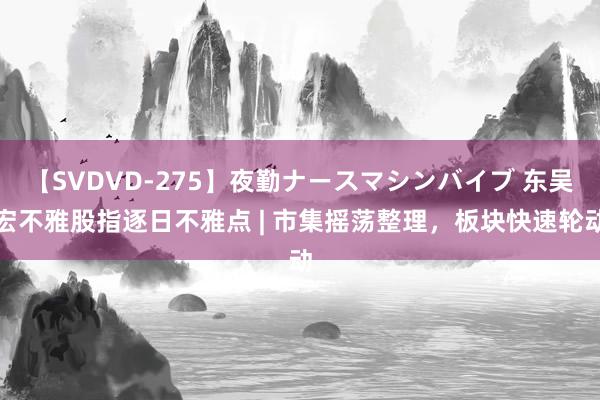 【SVDVD-275】夜勤ナースマシンバイブ 东吴宏不雅股指逐日不雅点 | 市集摇荡整理，板块快速轮动