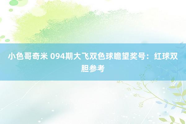 小色哥奇米 094期大飞双色球瞻望奖号：红球双胆参考