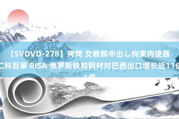 【SVDVD-278】拷問 女教師中出し拘束肉便器 仁科百華 RISA 俄罗斯铁和钢材对巴西出口增长近11倍