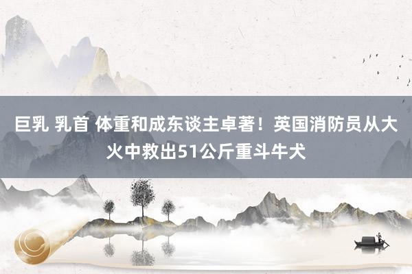 巨乳 乳首 体重和成东谈主卓著！英国消防员从大火中救出51公斤重斗牛犬
