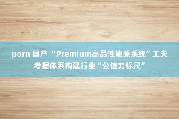 porn 国产 “Premium高品性能源系统”工夫考据体系构建行业“公信力标尺”