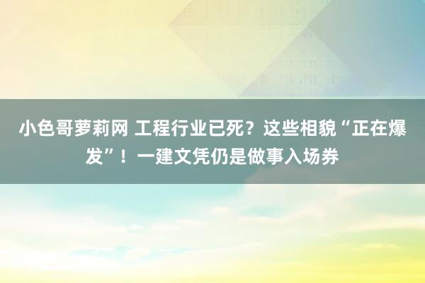 小色哥萝莉网 工程行业已死？这些相貌“正在爆发”！一建文凭仍是做事入场券