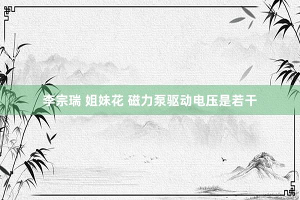 李宗瑞 姐妹花 磁力泵驱动电压是若干