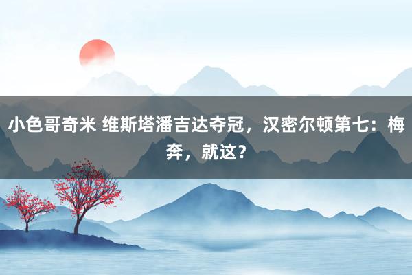 小色哥奇米 维斯塔潘吉达夺冠，汉密尔顿第七：梅奔，就这？