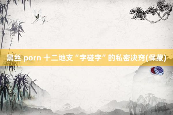 黑丝 porn 十二地支“字碰字”的私密决窍(保藏)