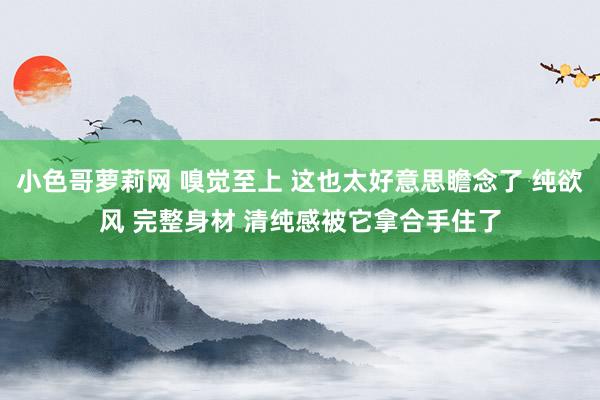小色哥萝莉网 嗅觉至上 这也太好意思瞻念了 纯欲风 完整身材 清纯感被它拿合手住了