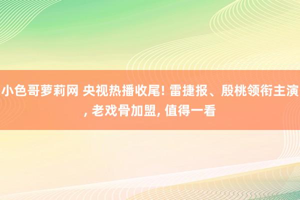 小色哥萝莉网 央视热播收尾! 雷捷报、殷桃领衔主演, 老戏骨加盟, 值得一看